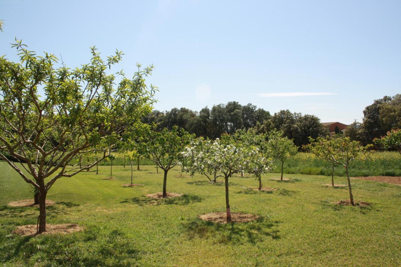 Séjour à la campagne Masia Rural Poch