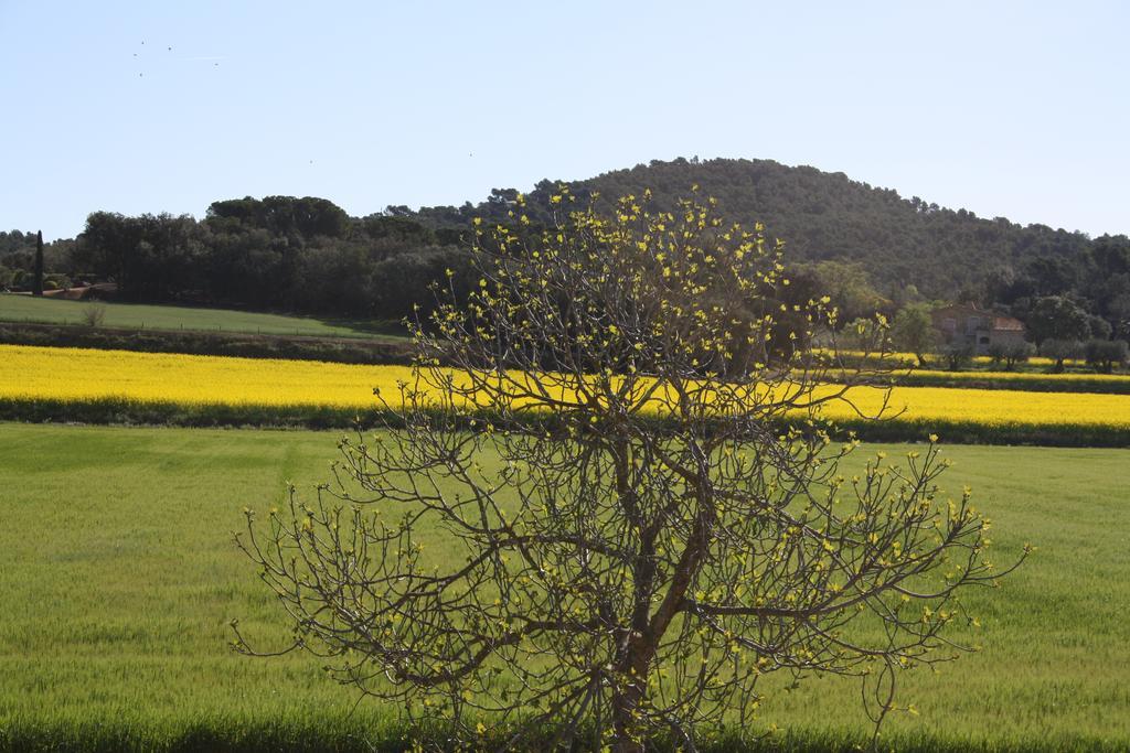 Masia Rural Poch Séjour à la campagne *